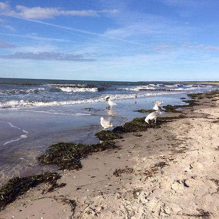 Haus Zeesenboot Lee Villa Hiddensee Bagian luar foto