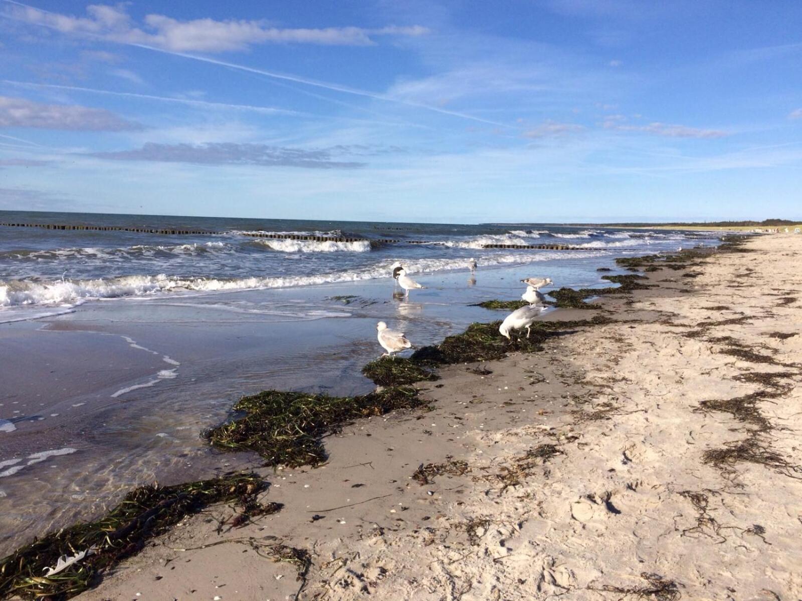 Haus Zeesenboot Lee Villa Hiddensee Bagian luar foto